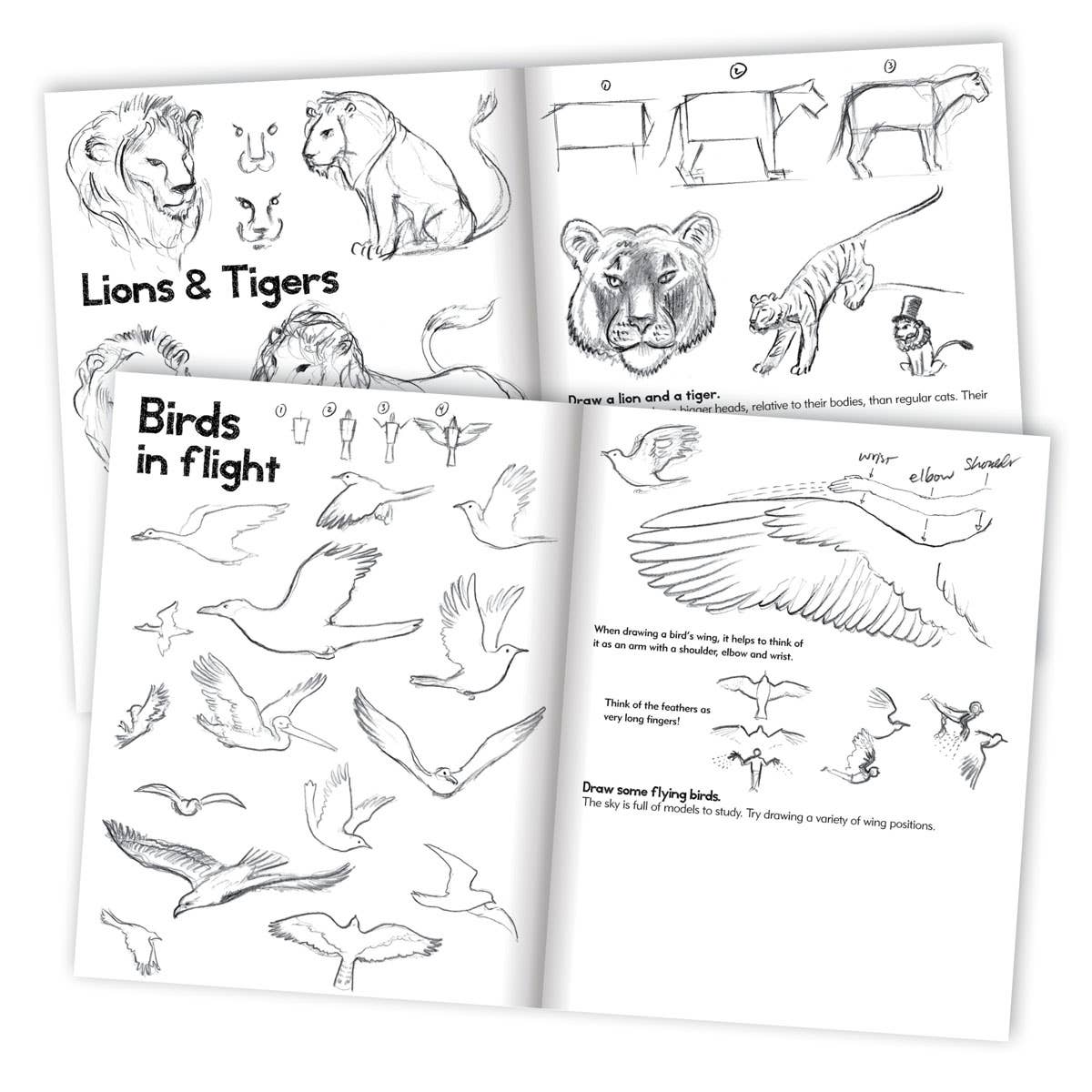 Learn to Draw Animals