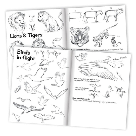 Learn to Draw Animals