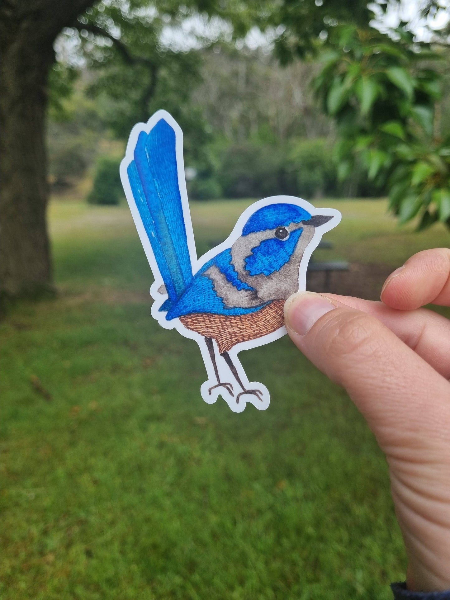 Vinyl Stickers - Blue Fairy Wren