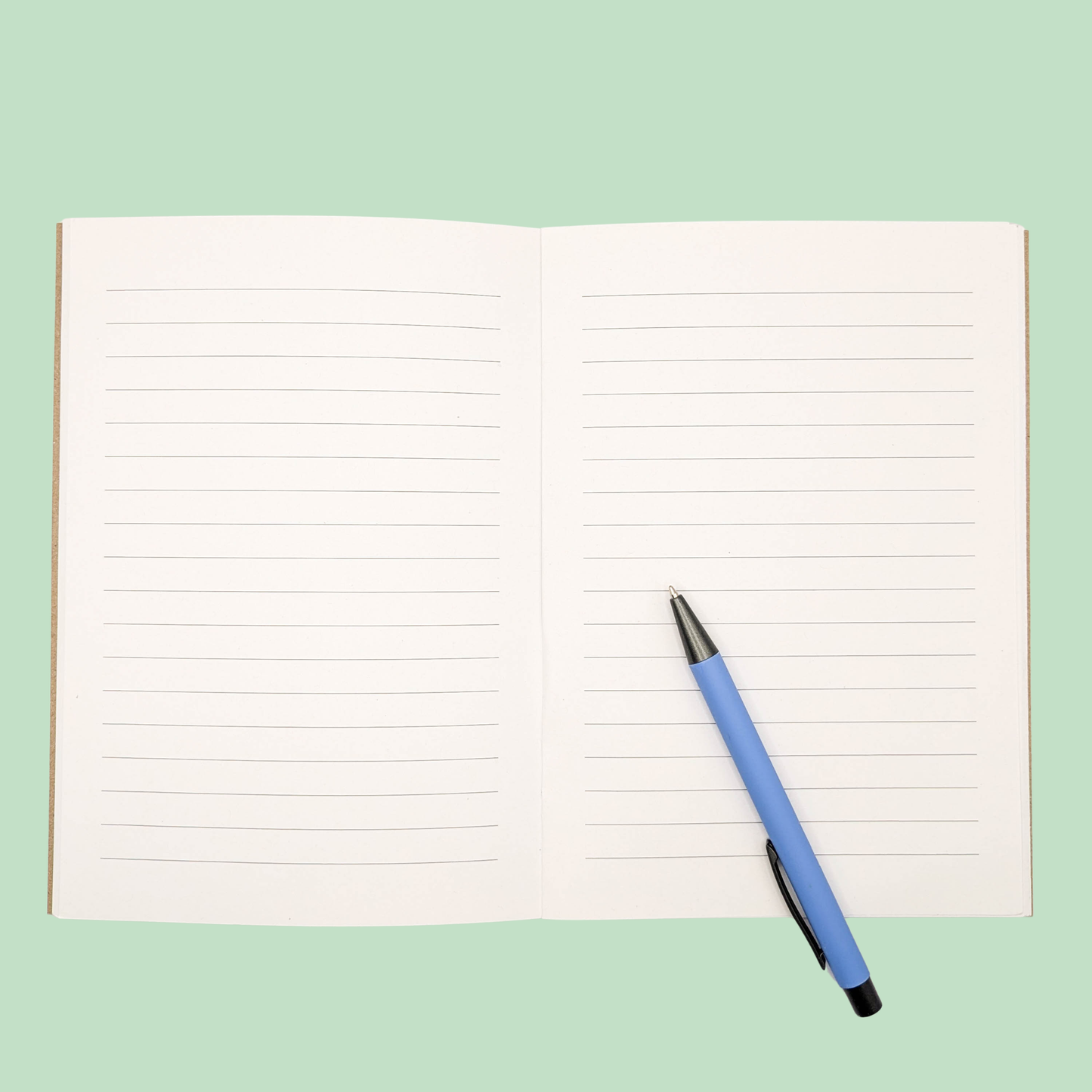 Humpback Whales Notebook