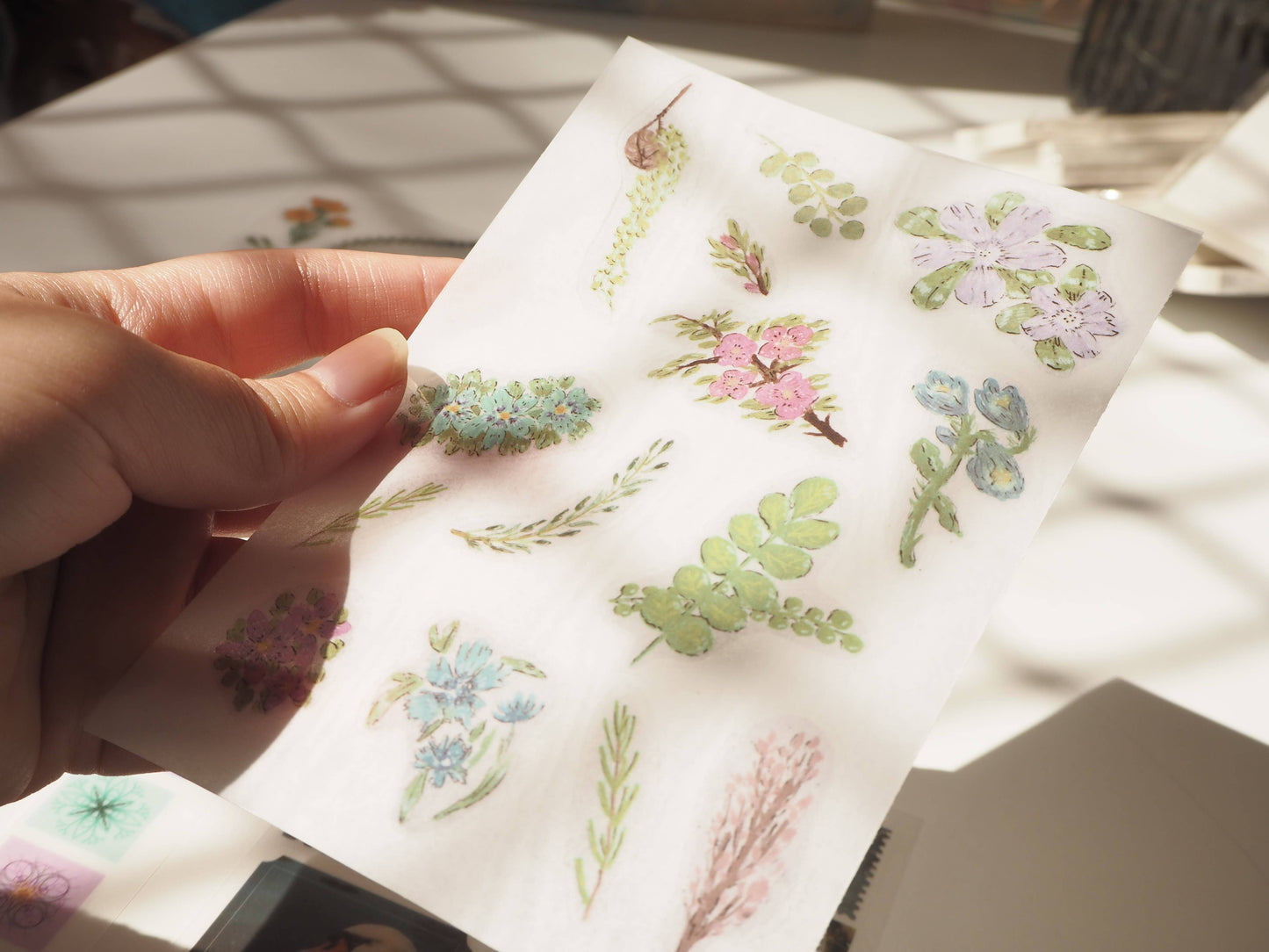 Goauche Flowers- Rub-on Stickers/ Transfer Stickers