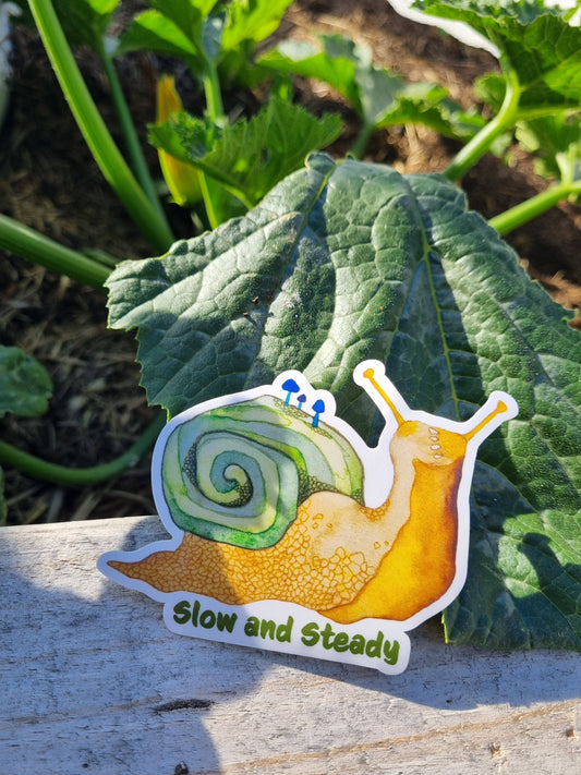 Vinyl Stickers - Snail - Slow and Steady