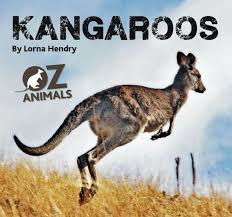 Kangaroos