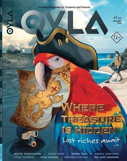Oyla Magazine
