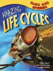 Amazing Life Cycles: Bugs & Spiders