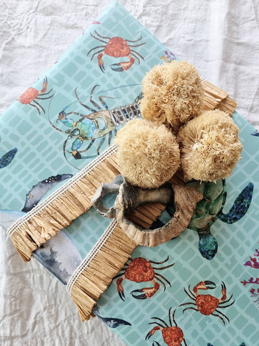 Wrapping Paper / Sea Life (New Size)