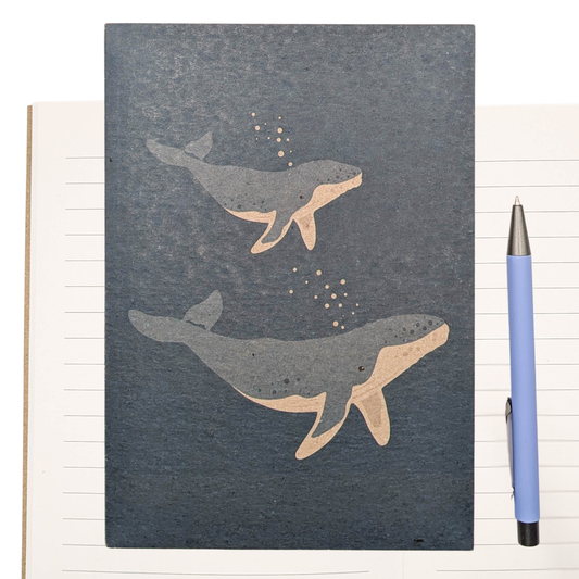 Humpback Whales Notebook