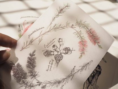 Scientific Drawings and paintings by Lillian Webb Designs - Rub-on/ Transfer Sticker 029, 030 031