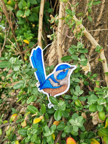 Vinyl Stickers - Blue Fairy Wren