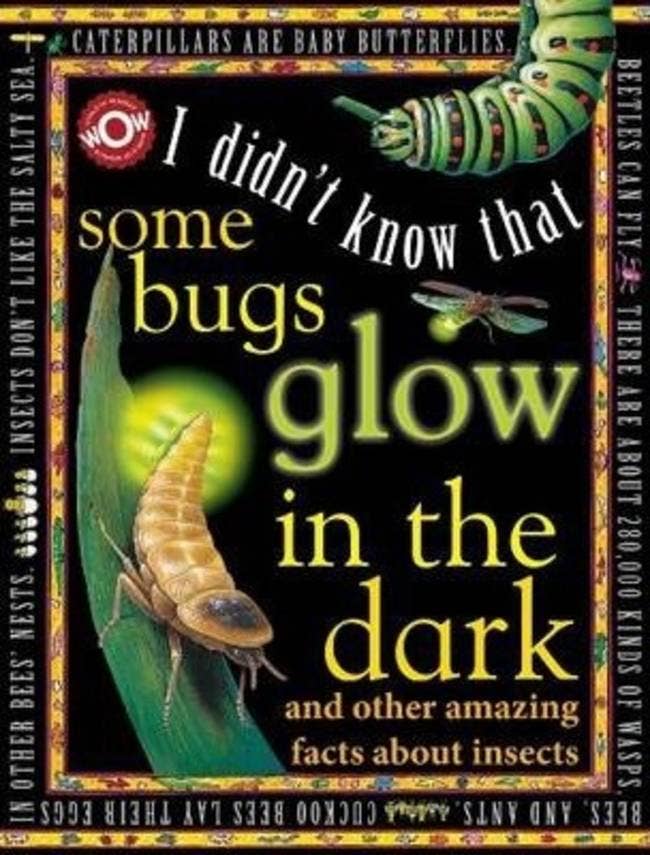 World of Wonder I Didn't Know That Some Bugs Glow