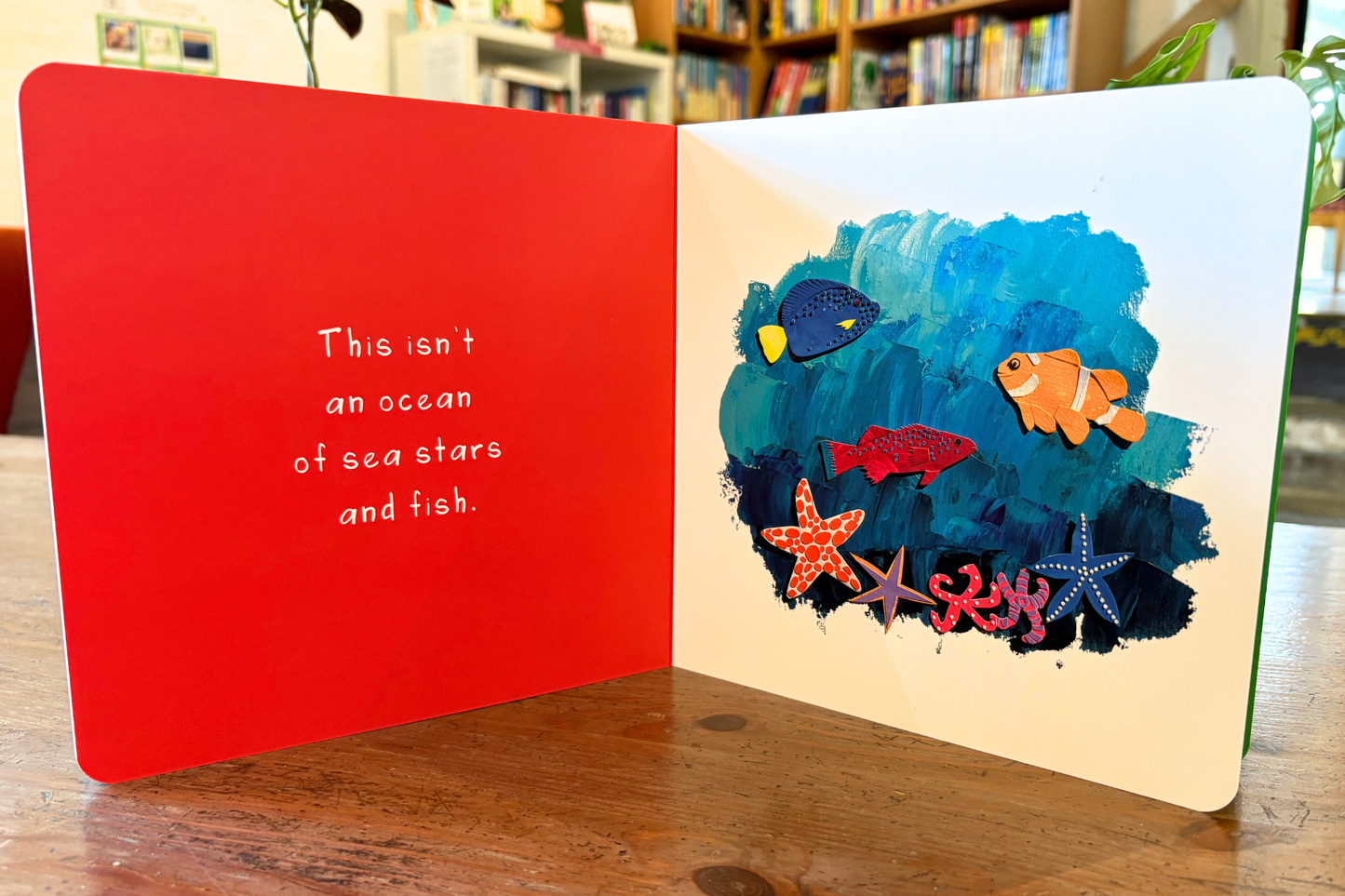 “What Is It?” Board Book